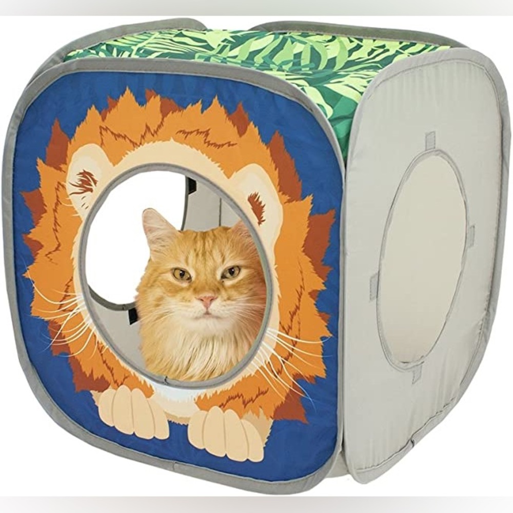 Lion Play Cube